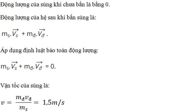 [CHUẨN NHẤT]    Cách giải bài toán về động lượng (ảnh 7)