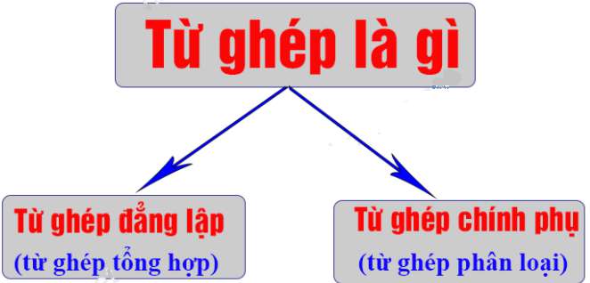 Cách phân biệt từ ghép chính phụ và từ ghép đẳng lập