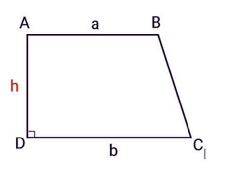 [CHUẨN NHẤT] Cách tính diện tích hình thang vuông? (ảnh 2)