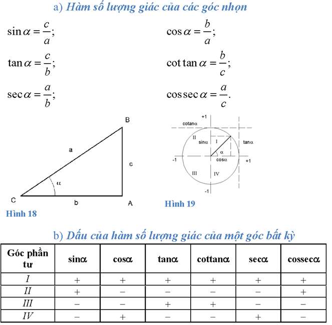 Cách xác định dấu của các giá trị lượng giác lớp 10 (ảnh 4)