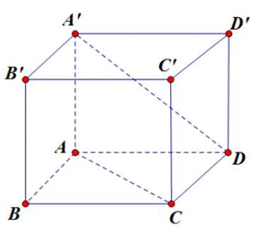 Cách xác định nhanh góc giữa hai đường chéo (ảnh 10)