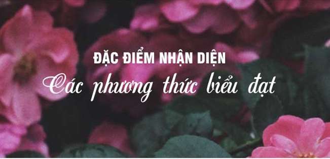 [CHUẨN NHẤT] Cách xác định phương thức biểu đạt