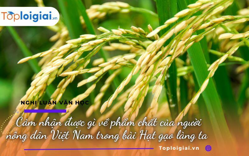 Cảm nhận được gì về phẩm chất của người nông dân Việt Nam trong bài Hạt gạo làng ta ảnh 2