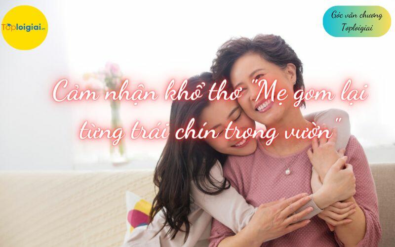 viết đoạn văn cảm nhận về khổ thơ Mẹ gom lại từng trái chín trong vườn