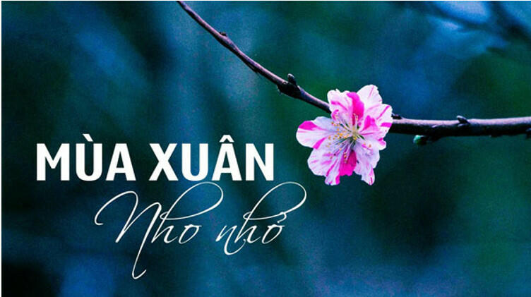 Cảm nhận về tác giả Thanh Hải qua bài thơ Mùa xuân nho nhỏ