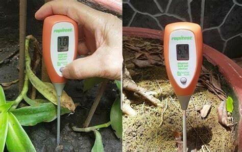Cần làm gì để tăng độ pH của đất chua và giảm độ PH của đất kiềm?