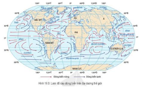 [Cánh Diều] Giải Địa lí 6 Bài 19. Biển và đại dương. Một số đặc điểm của môi trường biển (ngắn nhất) ảnh 4