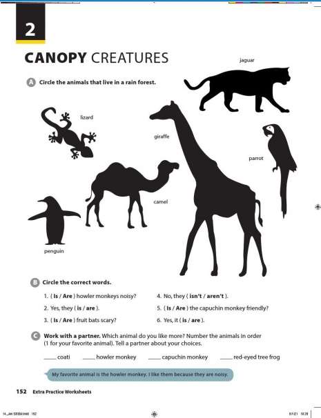 [Cánh diều] Giải Tiếng Anh 6 Unit 2: Canopy Creatures