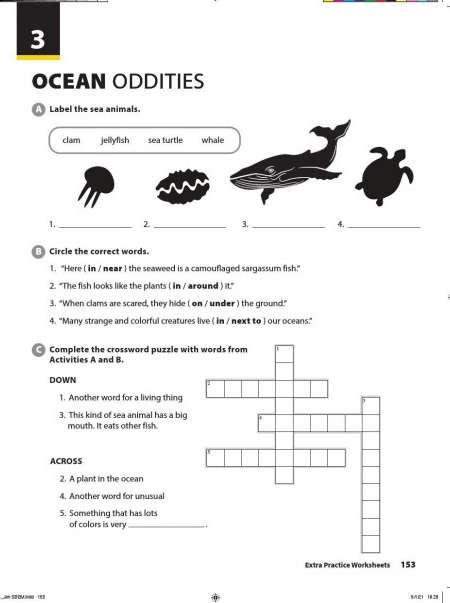 [Cánh diều] Giải Tiếng Anh 6 Unit 3: Ocean Oddities