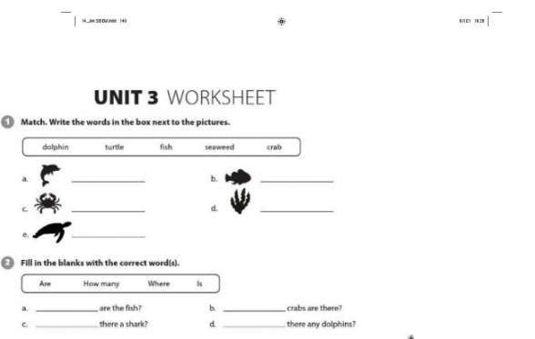 [Cánh diều] Giải Tiếng Anh 6 Unit 3: Worksheet (Ảnh 2)