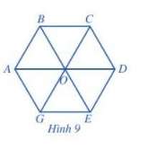 [Cánh diều] Giải Toán 6 Bài 1: Tam giác đều, hình vuông, lục giác đều (ảnh 6)