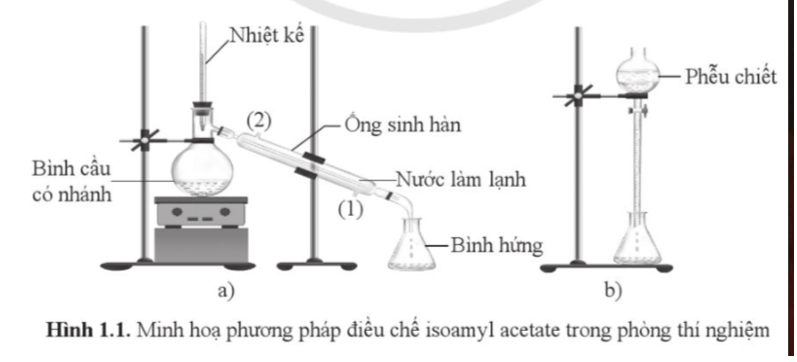 Câu 1.13. Quan sát hình sau. Cho các phát biểu liên quan tới Hình 1.1 như sau:  (1) Hỗn hợp chất lòng trước phản ứng trong bình cầu có nhánh gồm isoamyl alcohol, acetic acid và sulfuric acid đặc