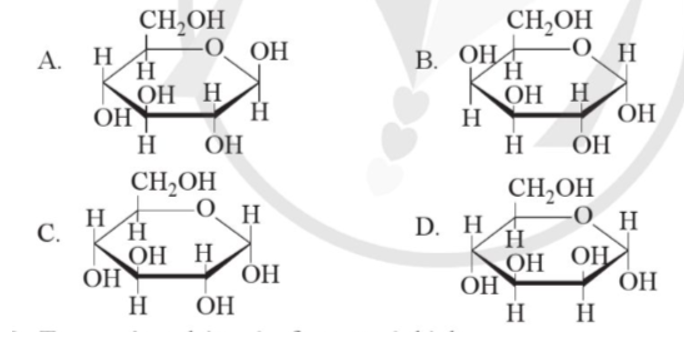 Câu 3.11. Công thức nào dưới đây phù hợp với công thức cấu tạo của ẞ-glucose?