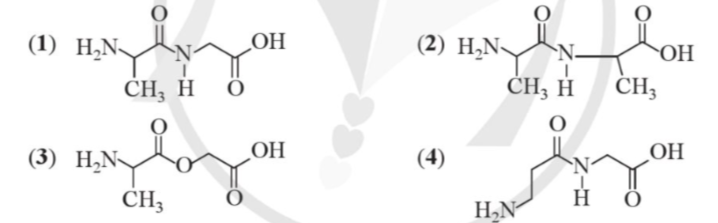 Câu 7.1. Cho các chất có công thức cấu tạo sau: Trong các hợp chất trên, những hợp chất nào thuộc loại dipeptide?