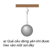 A ball from a hook

Description automatically generated
