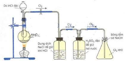 Chất dùng làm khô khí Cl2 ẩm là (ảnh 5)