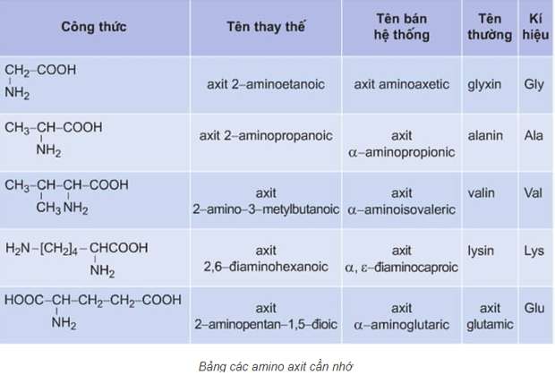 Chất nào sau đây là amino axit? (ảnh 2)