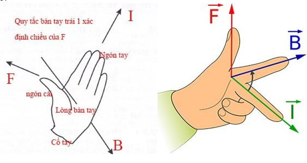 Chiều của lực từ tuân theo quy tắc bàn tay trái như thế nào?
