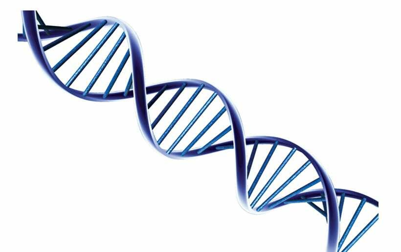 Chiều dài mỗi cặp nuclêôtit trong phân tử ADN là?