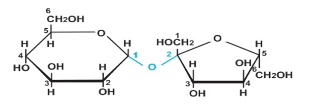 Cho axit sunfuric đặc vào cốc đựng đường (C12H22O11), nêu hiện tượng và viết phương trình hóa học?  (ảnh 2)
