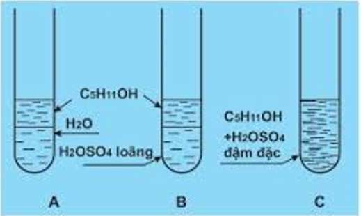 Cho ba ống nghiệm không nhãn dán đựng một trong các chất sau etanol, phenol, glixerol (ảnh 3)