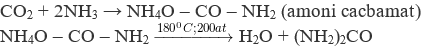 Cho khí CO2 tác dụng với nước vôi trong Ca(OH)2, nêu hiện tượng và viết phương trình? (ảnh 5)