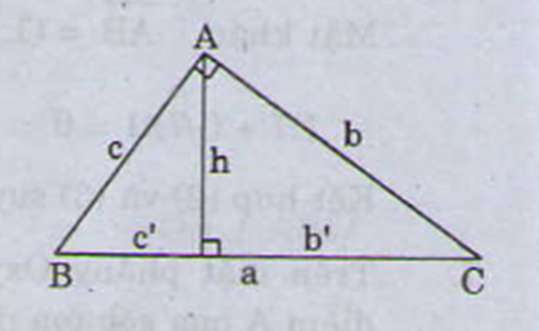 Cho tam giác ABC vuông tại A, đường cao AH, AB = 3cm, BC = 6cm (ảnh 3)