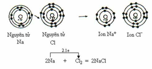 [ĐÚNG NHẤT] Chọn phát biểu sai về ion (ảnh 2)