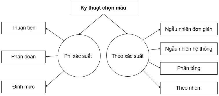 Có bao nhiêu phương pháp chọn mẫu? Hãy liệt kê