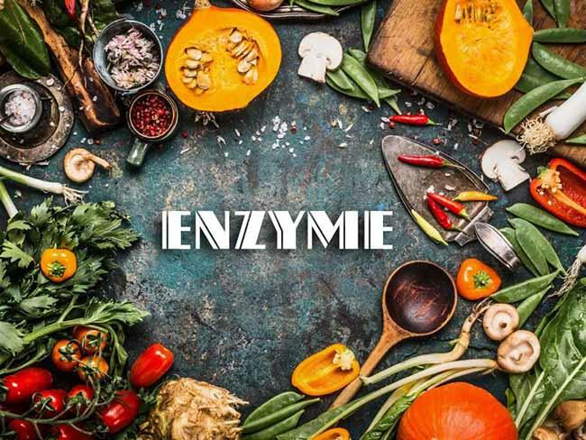 Cơ chế hoạt động của enzim là gì?