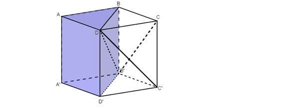 Có thể chia hình lập phương thành bao nhiêu tứ diện bằng nhau (ảnh 2)