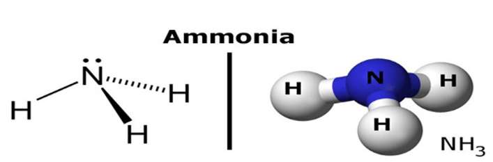 Có thể nhận biết Amoniac bằng thuốc thử nào sau đây?