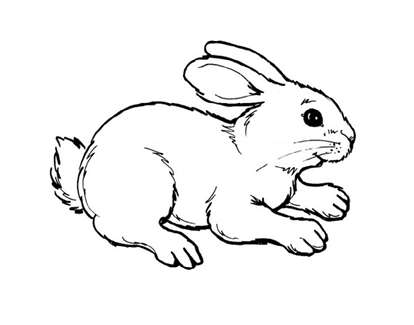 Con thỏ tô màu gì? (ảnh 10)