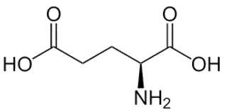 [CHUẨN NHẤT] Công thức cấu tạo, công thức phân tử của Axit glutamic
