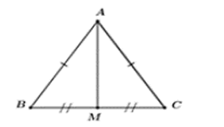 Công thức tính đường cao trong tam giác (ảnh 13)