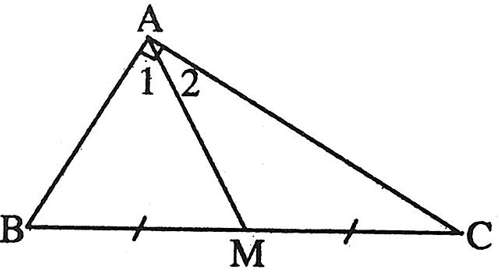 Cách vẽ đường trung tuyến trong tam giác vuông