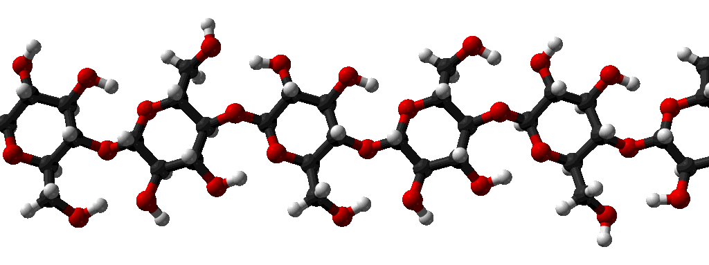 Đặc điểm cấu tạo nào của triglyceride thể hiện chức năng dự trữ năng lượng trong tế bào cao hơn polysaccharide