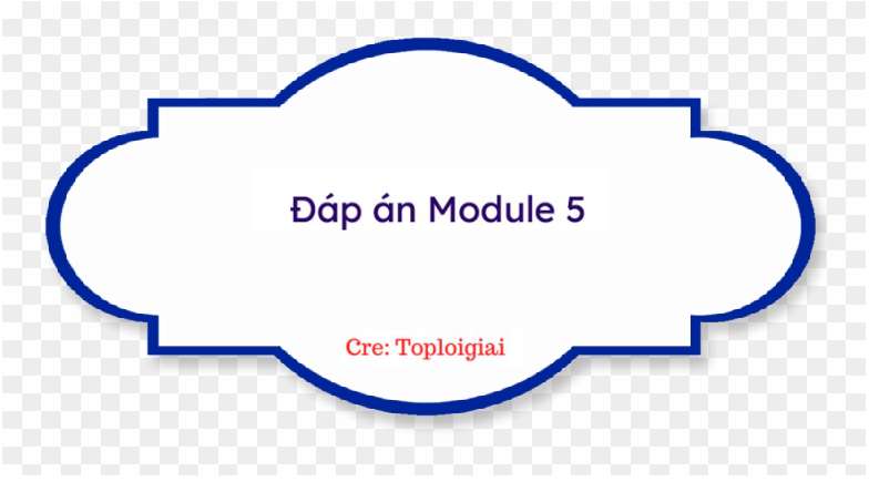 Đáp án trắc nghiệm Module 5 THPT