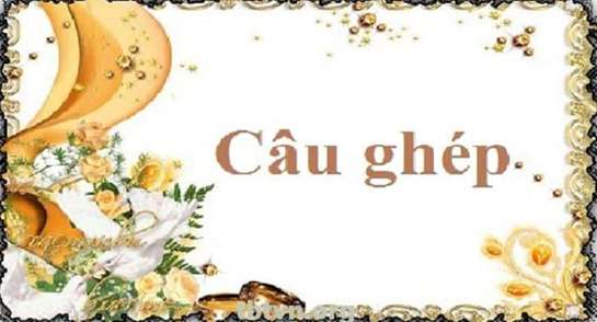 Đặt câu ghép