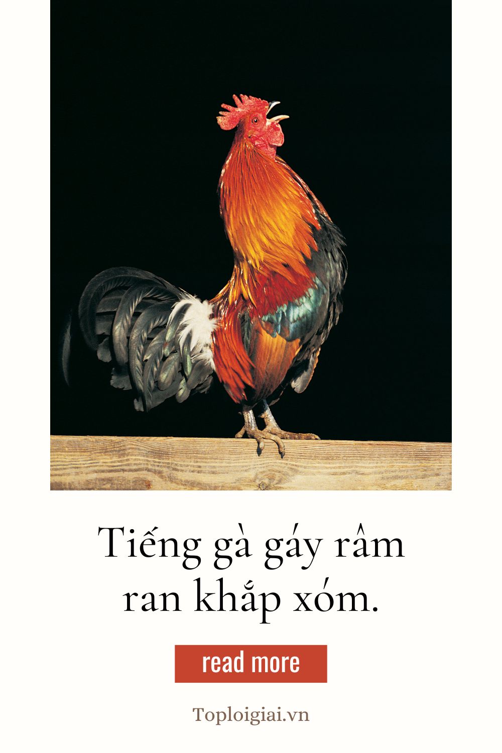 Hoàn thành 20 câu với từ Râm Ran gần gũi với học sinh lớp 2