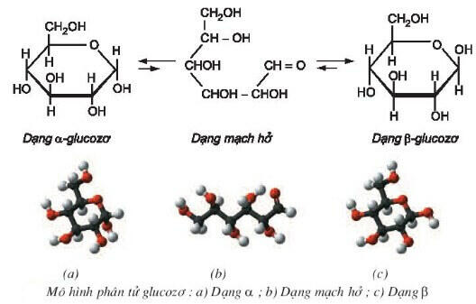 để chứng minh glucozo có nhiều nhóm hydroxyl- hóa 12