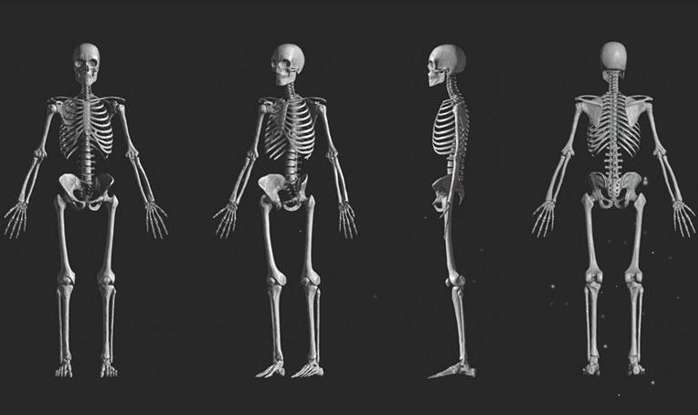 Để xương và cơ phát triển cân đối chúng ta cần làm gì?