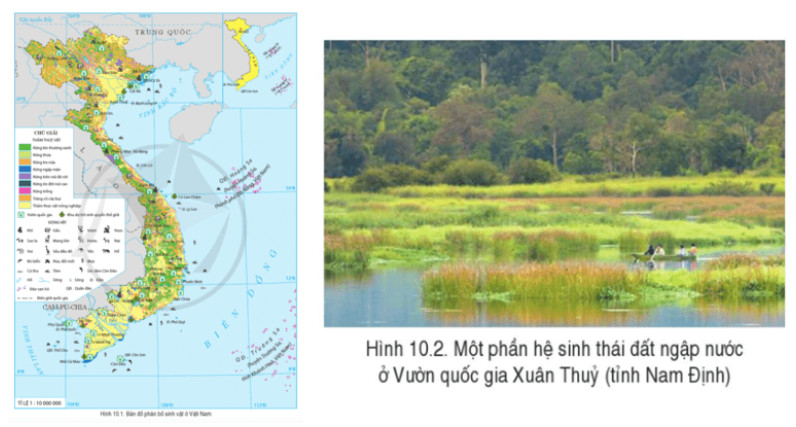 Soạn Địa lí 8 Cánh Diều Bài 10: Đặc điểm chung của sinh vật và vấn đề bảo tồn đa dạng sinh học ở Việt Nam 