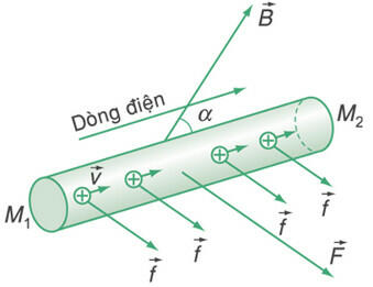 Hướng dẫn tính độ lớn của lực lorenxơ được tính theo công thức với ví dụ minh họa