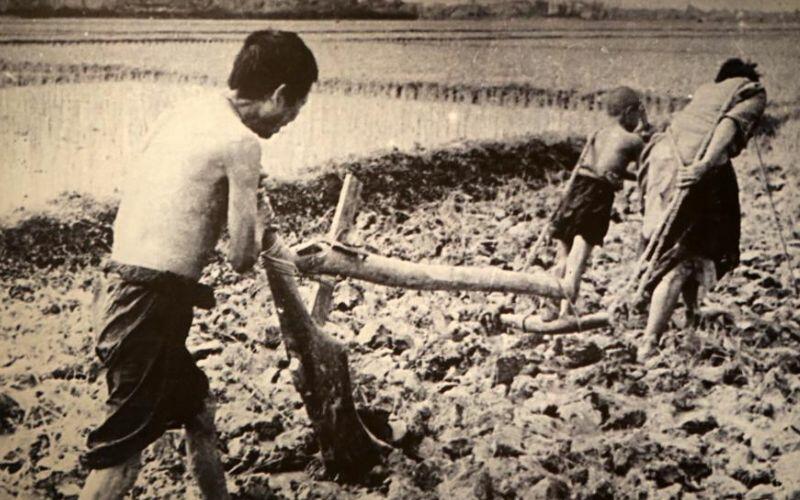 Đọc hiểu Đôi móng giò của Nam Cao - ảnh 4