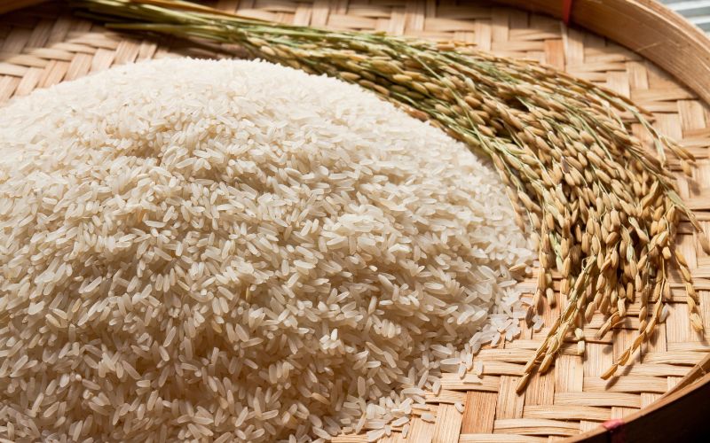 Đọc hiểu Gạo quê của Vũ Quần Phương