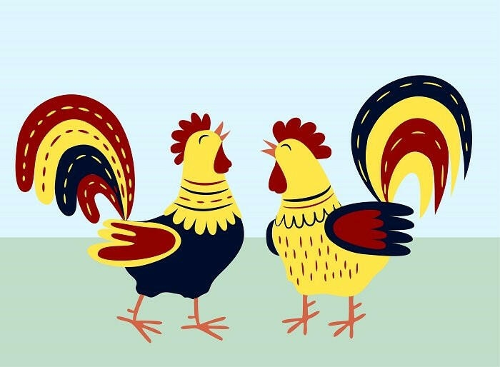 Đọc hiểu Hai con gà trống: Có hai con gà cùng một mẹ sinh ra