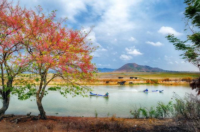 Đọc hiểu Nắng thu của Nam Trân