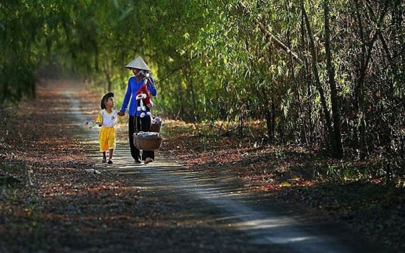Đọc hiểu Nghĩ về tuổi thơ làm sao quên