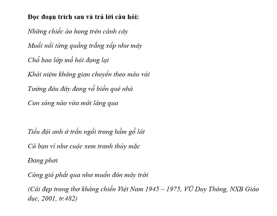 Đọc hiểu Những chiếc áo hong trên cành cây